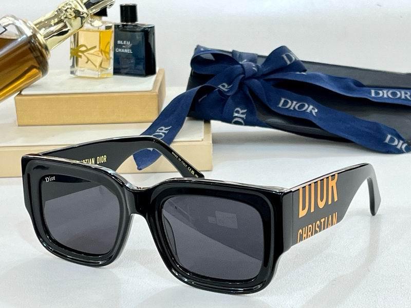 DIOR Sunglasses 310